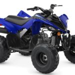 2022 Yamaha Raptor 90 For Sale Halfmoon, NY on Boost Your Ad - Motorcycles For Sale