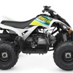 2022 Yamaha Raptor 90 For Sale Halfmoon, NY on Boost Your Ad - Motorcycles For Sale