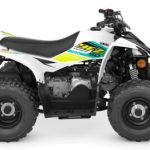 2022 Yamaha YFZ50 For Sale Halfmoon, NY on Boost Your Ad - Motorcycles For Sale