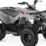 2023 GRAY Yamaha Grizzly 90 Halfmoon, NY Boost Your Ad Custom Cars for sale