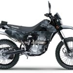 2023 GREEN Kawasaki KLX 300 Fragment Camo Gray Halfmoon, NY Boost Your Ad Custom Cars for sale motorcycles-forsale.com