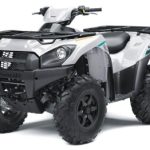 2023 Kawasaki Brute Force 750 4x4i EPS For Sale Halfmoon, NY on Boost Your Ad - Motorcycles For Sale